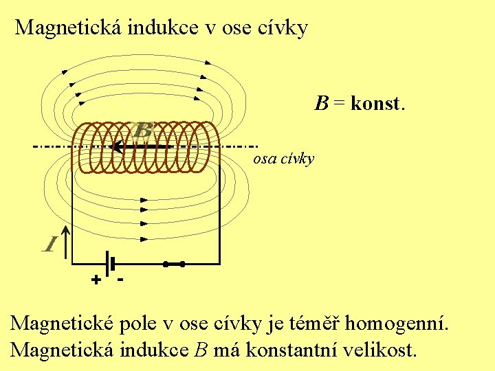Magnetická indukce v ose cívky B = konst. osa cívky + - Magnetické pole