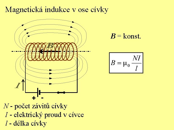 Magnetická indukce v ose cívky B = konst. + - N - počet závitů