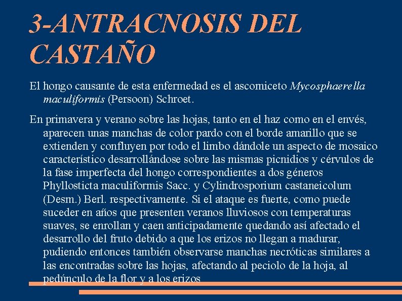 3 -ANTRACNOSIS DEL CASTAÑO El hongo causante de esta enfermedad es el ascomiceto Mycosphaerella