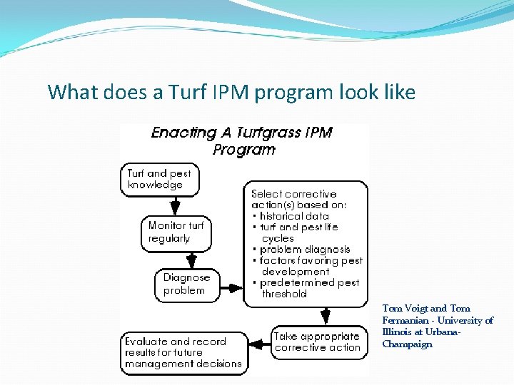 What does a Turf IPM program look like Tom Voigt and Tom Fermanian -