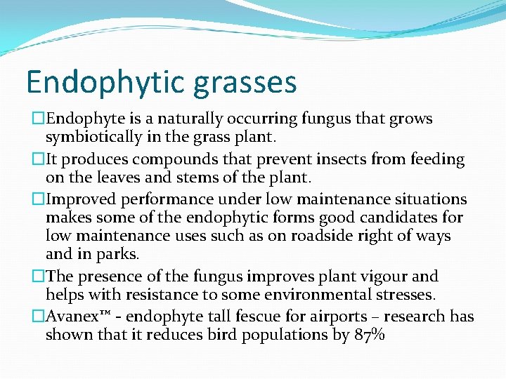 Endophytic grasses �Endophyte is a naturally occurring fungus that grows symbiotically in the grass