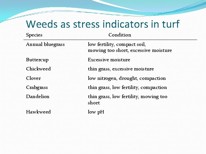 Weeds as stress indicators in turf Species Condition Annual bluegrass low fertility, compact soil,