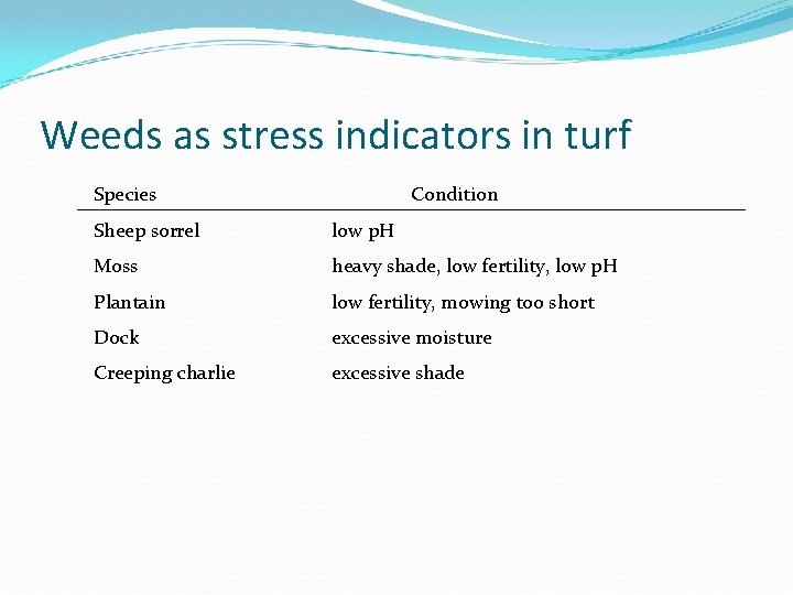 Weeds as stress indicators in turf Species Condition Sheep sorrel low p. H Moss