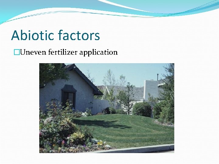 Abiotic factors �Uneven fertilizer application 