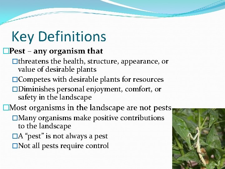 Key Definitions �Pest – any organism that �threatens the health, structure, appearance, or value