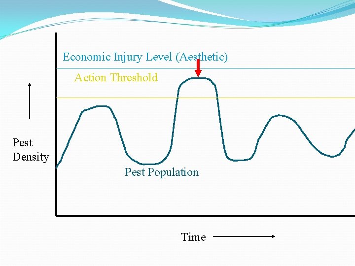 Economic Injury Level (Aesthetic) Action Threshold Pest Density Pest Population Time 