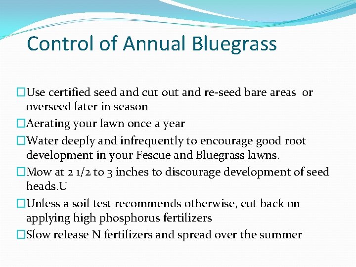 Control of Annual Bluegrass �Use certified seed and cut out and re-seed bare areas