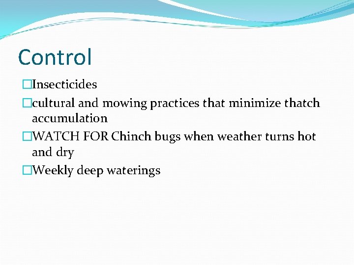 Control �Insecticides �cultural and mowing practices that minimize thatch accumulation �WATCH FOR Chinch bugs