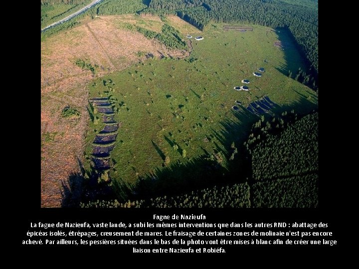 Fagne de Nazieufa La fagne de Nazieufa, vaste lande, a subi les mêmes interventions