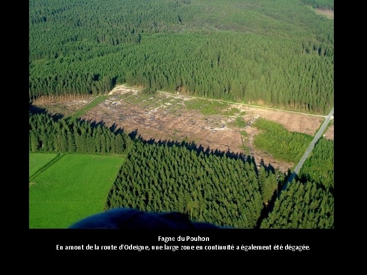 Fagne du Pouhon En amont de la route d'Odeigne, une large zone en continuité