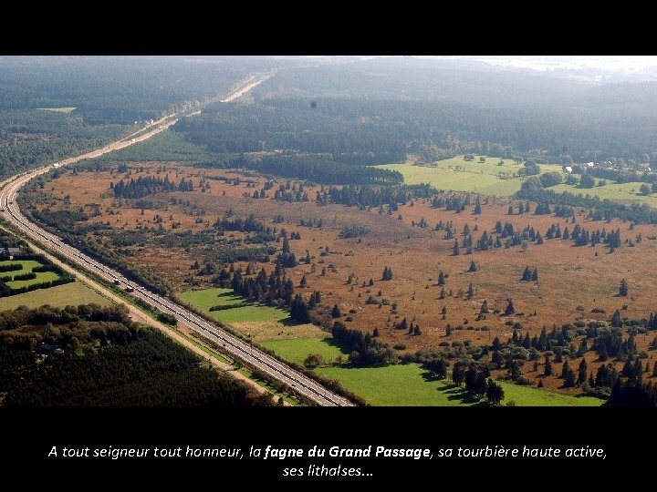 A tout seigneur tout honneur, la fagne du Grand Passage, sa tourbière haute active,
