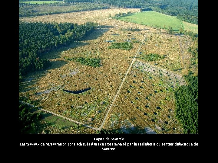 Fagne de Samrée Les travaux de restauration sont achevés dans ce site traversé par