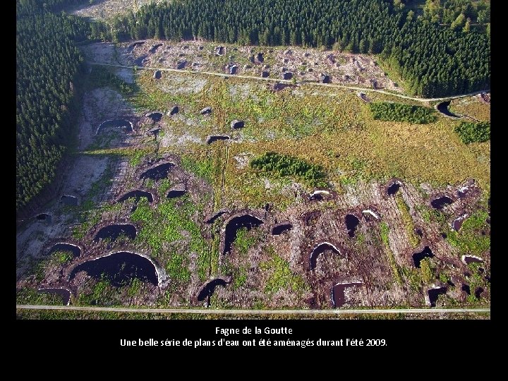 Fagne de la Goutte Une belle série de plans d'eau ont été aménagés durant