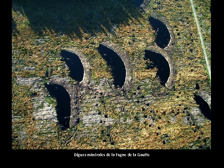 Digues minérales de la Fagne de la Goutte 