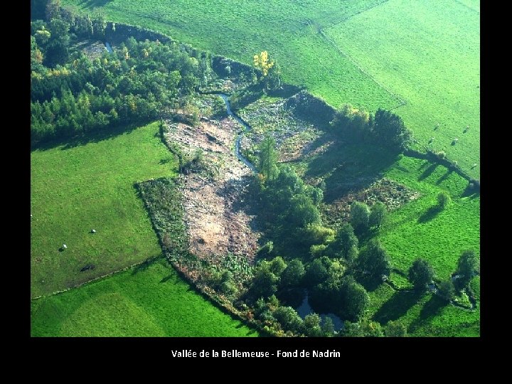 Vallée de la Bellemeuse - Fond de Nadrin 