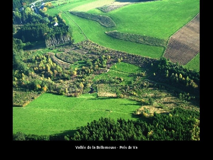 Vallée de la Bellemeuse - Prés de Va 