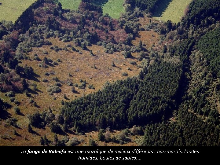 La fange de Robiéfa est une mozaïque de milieux différents : bas-marais, landes humides,