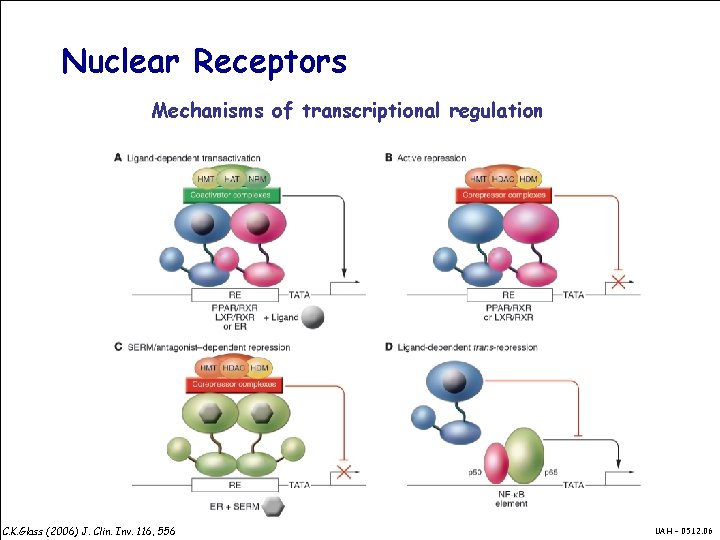 Nuclear Receptors Mechanisms of transcriptional regulation C. K. Glass (2006) J. Clin. Inv. 116,