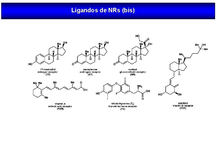 Ligandos de NRs (bis) 