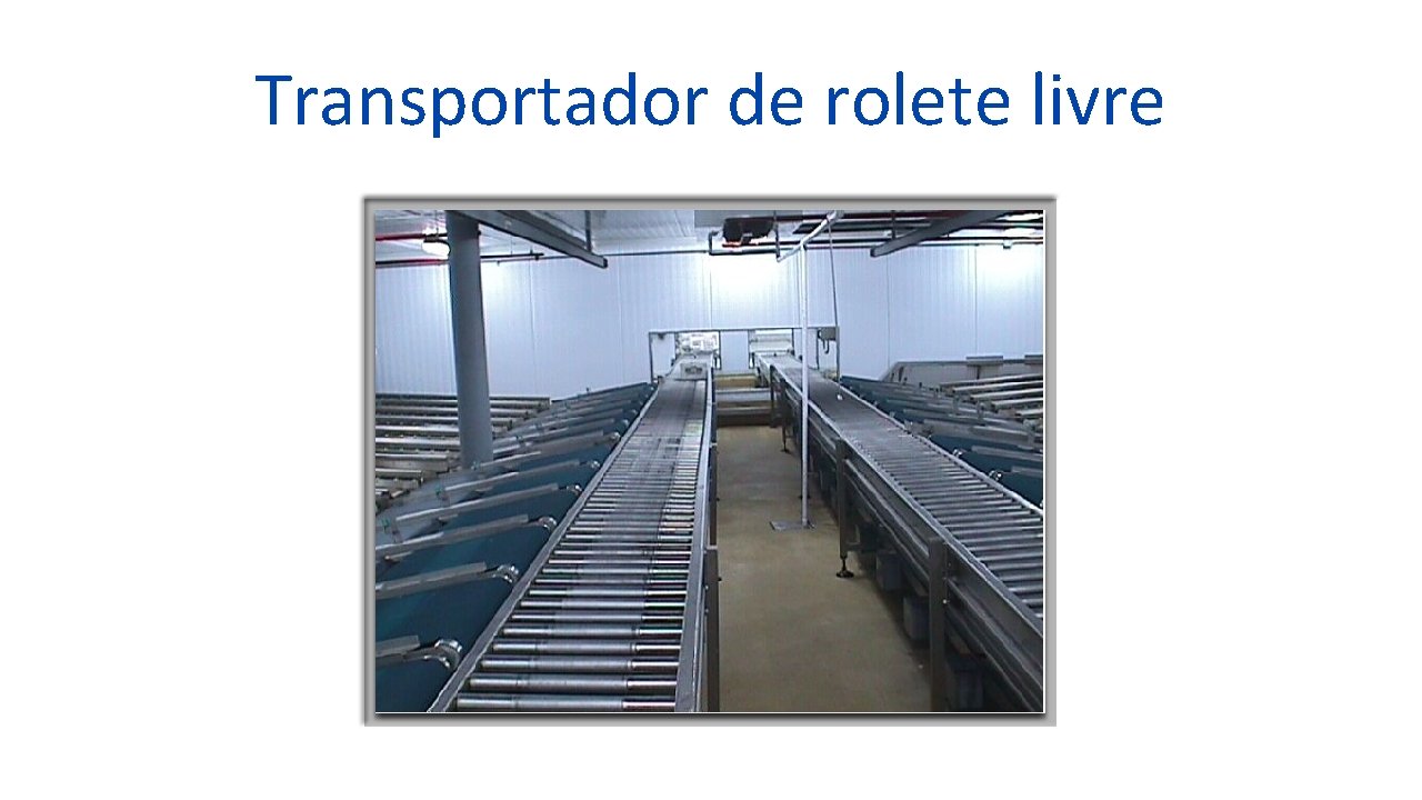 Transportador de rolete livre 