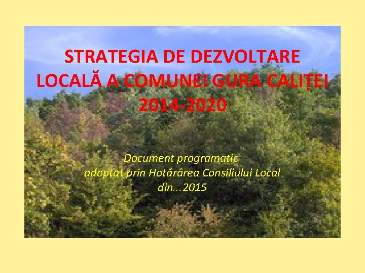 STRATEGIA DE DEZVOLTARE LOCALĂ A COMUNEI GURA CALIȚEI 2014 -2020 Document programatic adoptat prin
