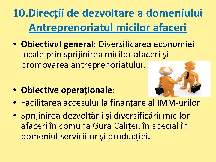 10. Direcții de dezvoltare a domeniului Antreprenoriatul micilor afaceri • Obiectivul general: Diversificarea economiei
