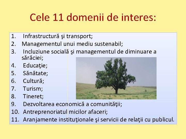 Cele 11 domenii de interes: 1. Infrastructură şi transport; 2. Managementul unui mediu sustenabil;