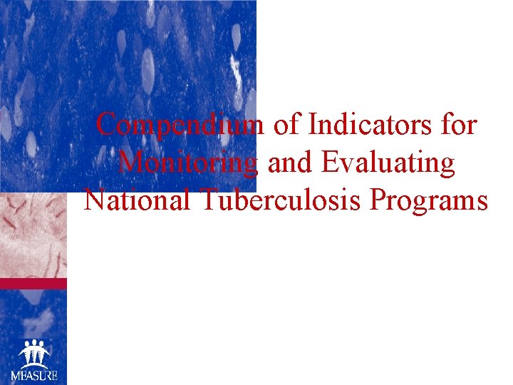 Compendium of Indicators for Monitoring and Evaluating National Tuberculosis Programs 