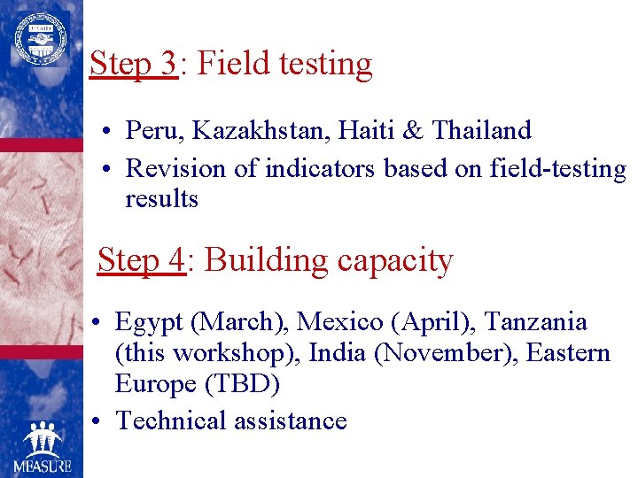 Step 3: Field testing • Peru, Kazakhstan, Haiti & Thailand • Revision of indicators