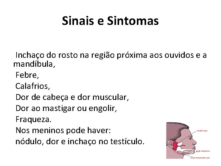 Sinais e Sintomas Inchaço do rosto na região próxima aos ouvidos e a mandíbula,