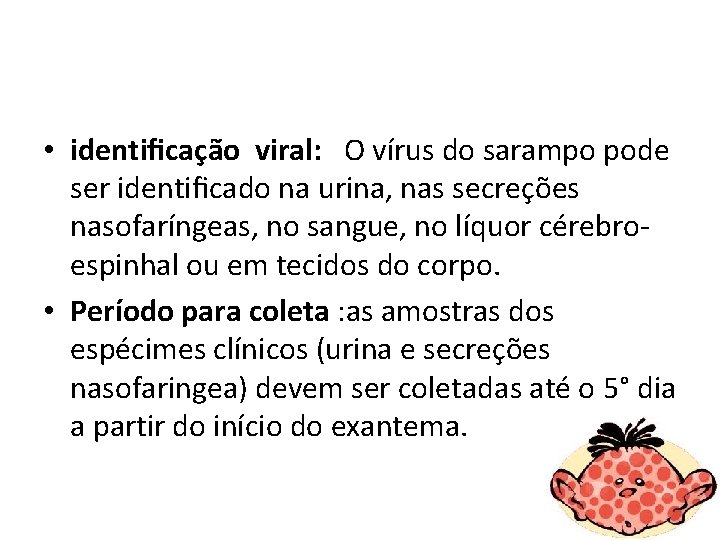  • identiﬁcação viral: O vírus do sarampo pode ser identiﬁcado na urina, nas