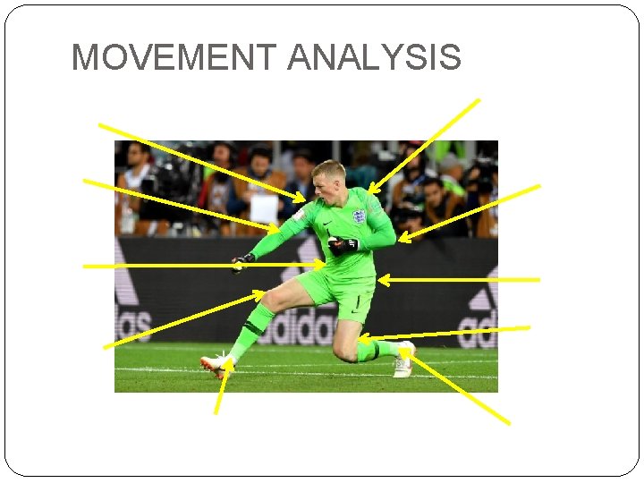 MOVEMENT ANALYSIS MOVEMENT ANALYSIS