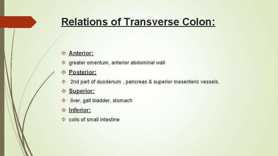 Relations of Transverse Colon: Anterior: greater omentum, anterior abdominal wall Posterior: 2 nd part