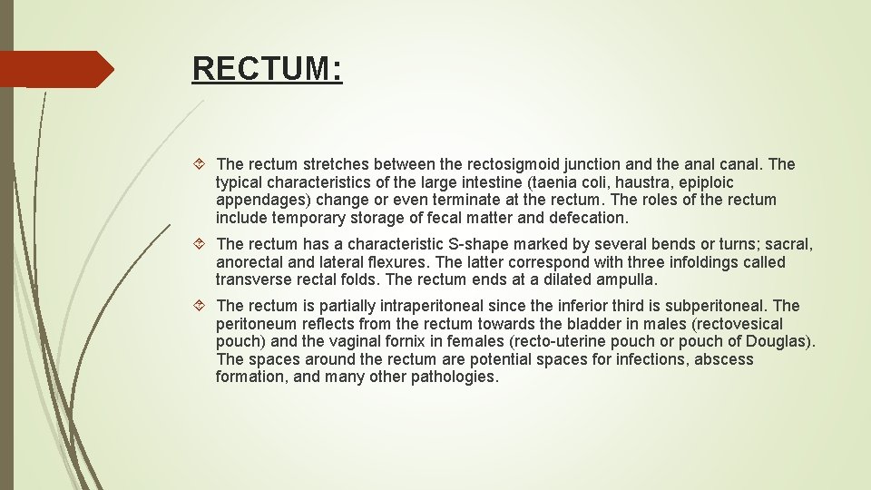 RECTUM: The rectum stretches between the rectosigmoid junction and the anal canal. The typical