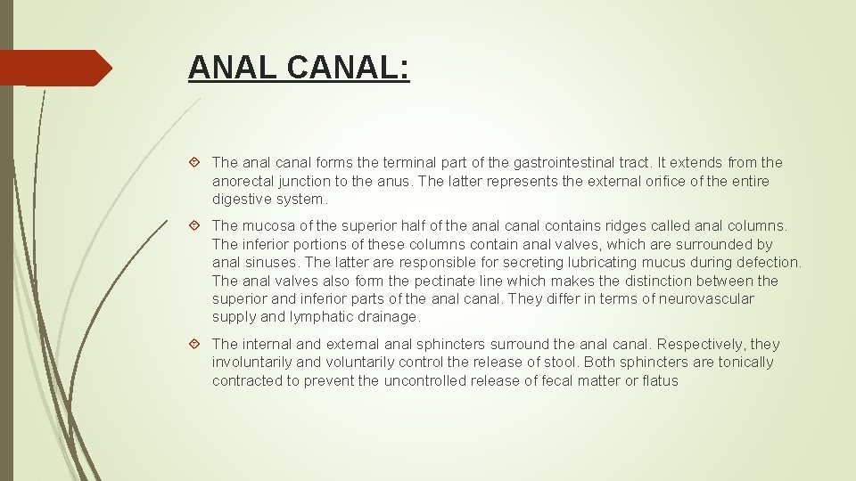 ANAL CANAL: The anal canal forms the terminal part of the gastrointestinal tract. It