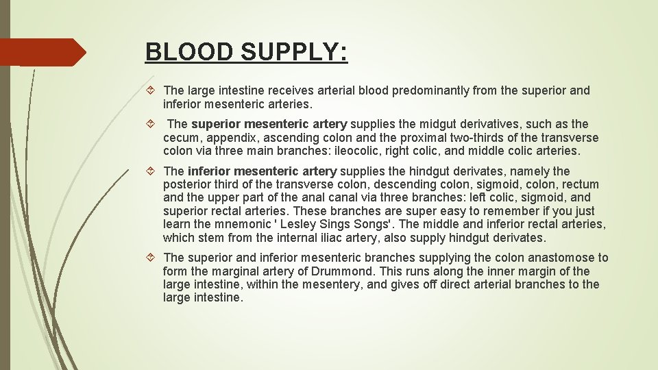 BLOOD SUPPLY: The large intestine receives arterial blood predominantly from the superior and inferior