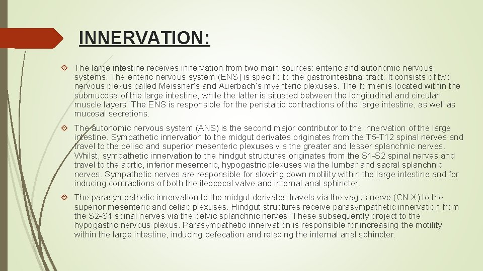 INNERVATION: The large intestine receives innervation from two main sources: enteric and autonomic nervous