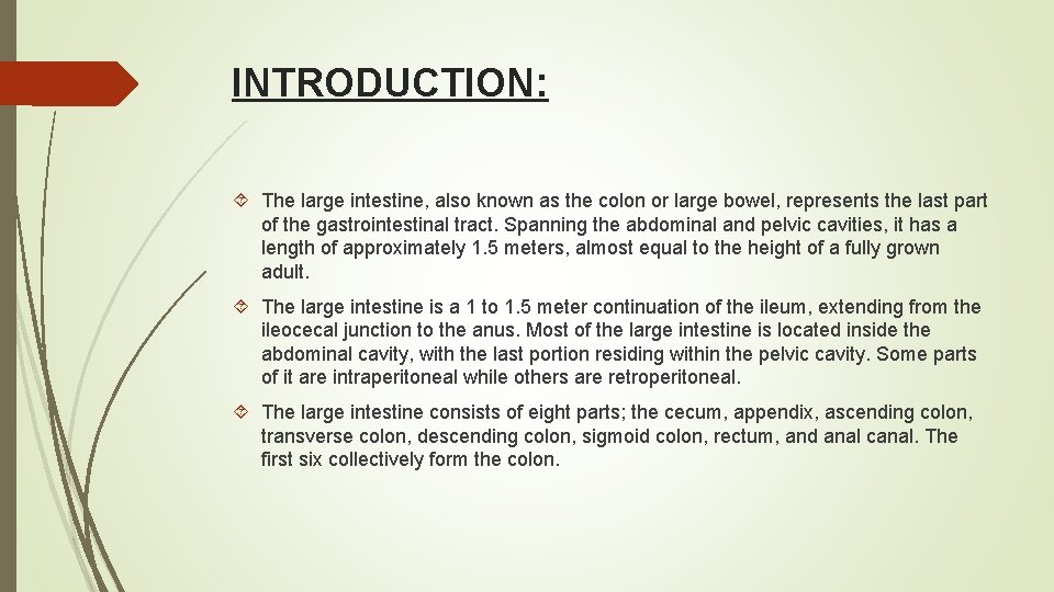 INTRODUCTION: The large intestine, also known as the colon or large bowel, represents the