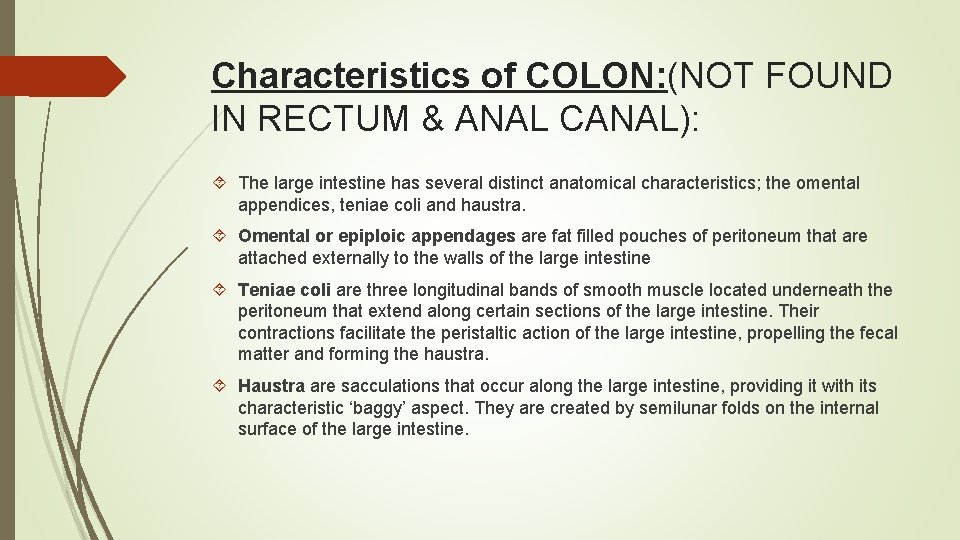 Characteristics of COLON: (NOT FOUND IN RECTUM & ANAL CANAL): The large intestine has