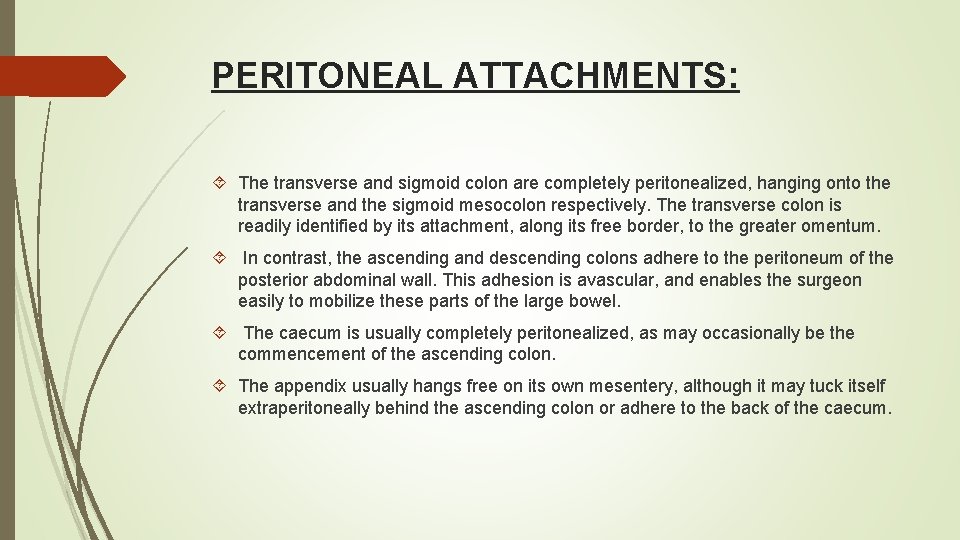 PERITONEAL ATTACHMENTS: The transverse and sigmoid colon are completely peritonealized, hanging onto the transverse