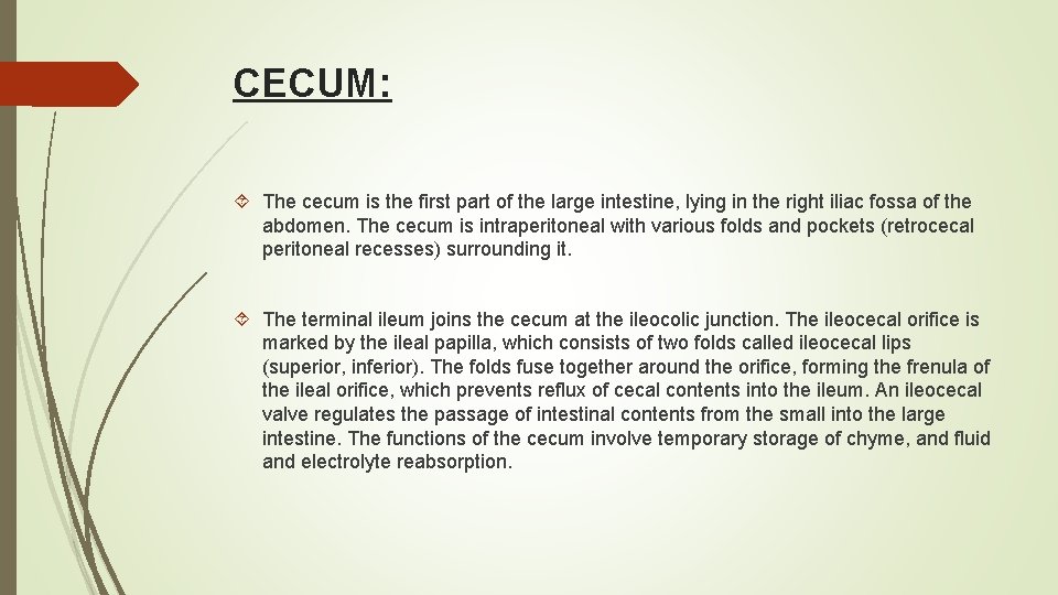 CECUM: The cecum is the first part of the large intestine, lying in the