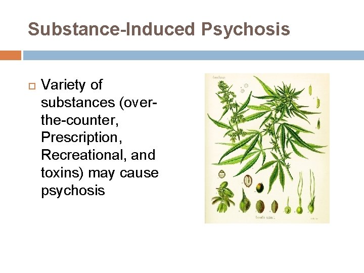 Substance-Induced Psychosis Variety of substances (overthe-counter, Prescription, Recreational, and toxins) may cause psychosis Substance-Induced Psychosis Variety of substances (overthe-counter, Prescription, Recreational, and toxins) may cause psychosis