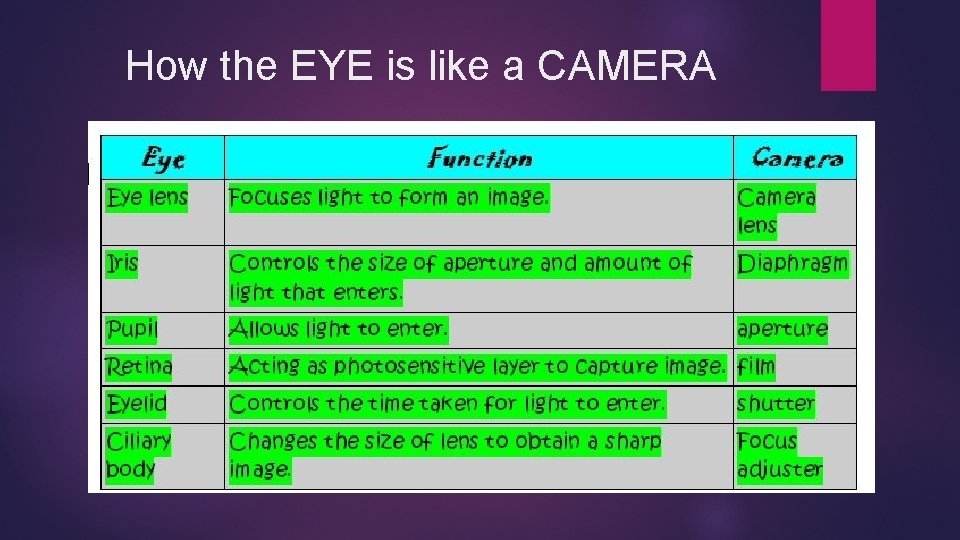 How the EYE is like a CAMERA 