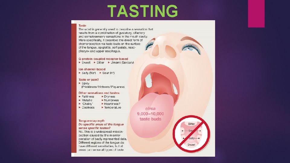 TASTING 