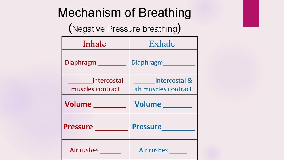 Mechanism of Breathing (Negative Pressure breathing) Inhale Exhale Diaphragm ____ Diaphragm_______intercostal muscles contract ______intercostal