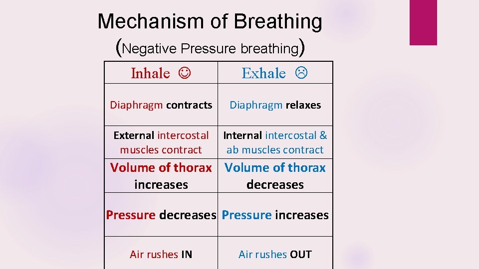Mechanism of Breathing (Negative Pressure breathing) Inhale J Exhale L Diaphragm contracts Diaphragm relaxes