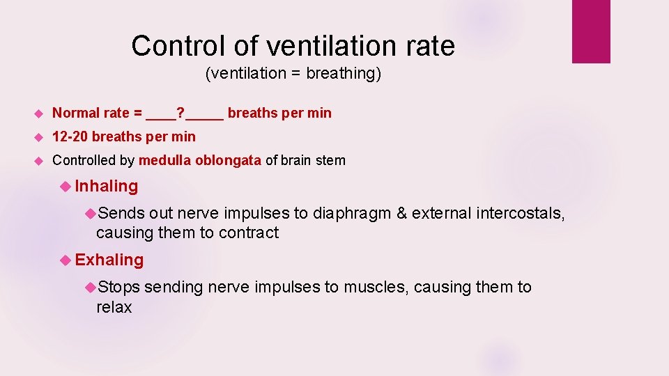 Control of ventilation rate (ventilation = breathing) Normal rate = ____? _____ breaths per