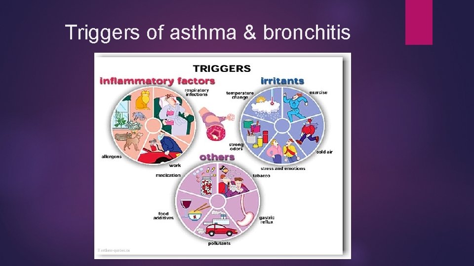 Triggers of asthma & bronchitis 