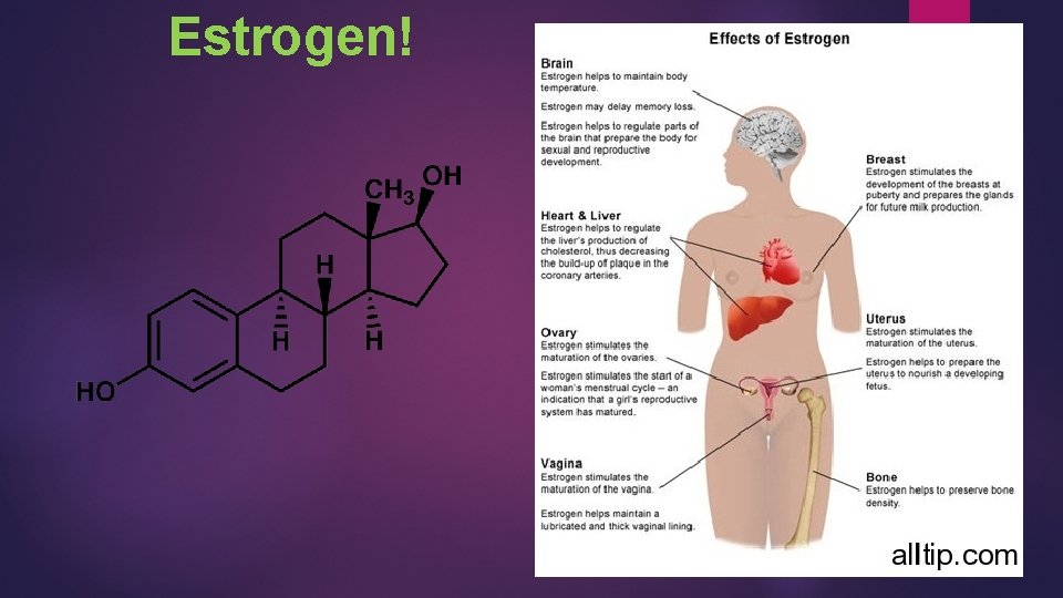  Estrogen! 