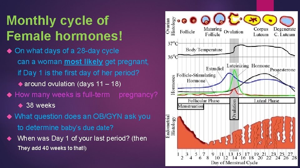 Monthly cycle of Female hormones! On what days of a 28 -day cycle can